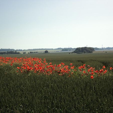 Vadstena Vandrarhem-Hostel Экстерьер фото