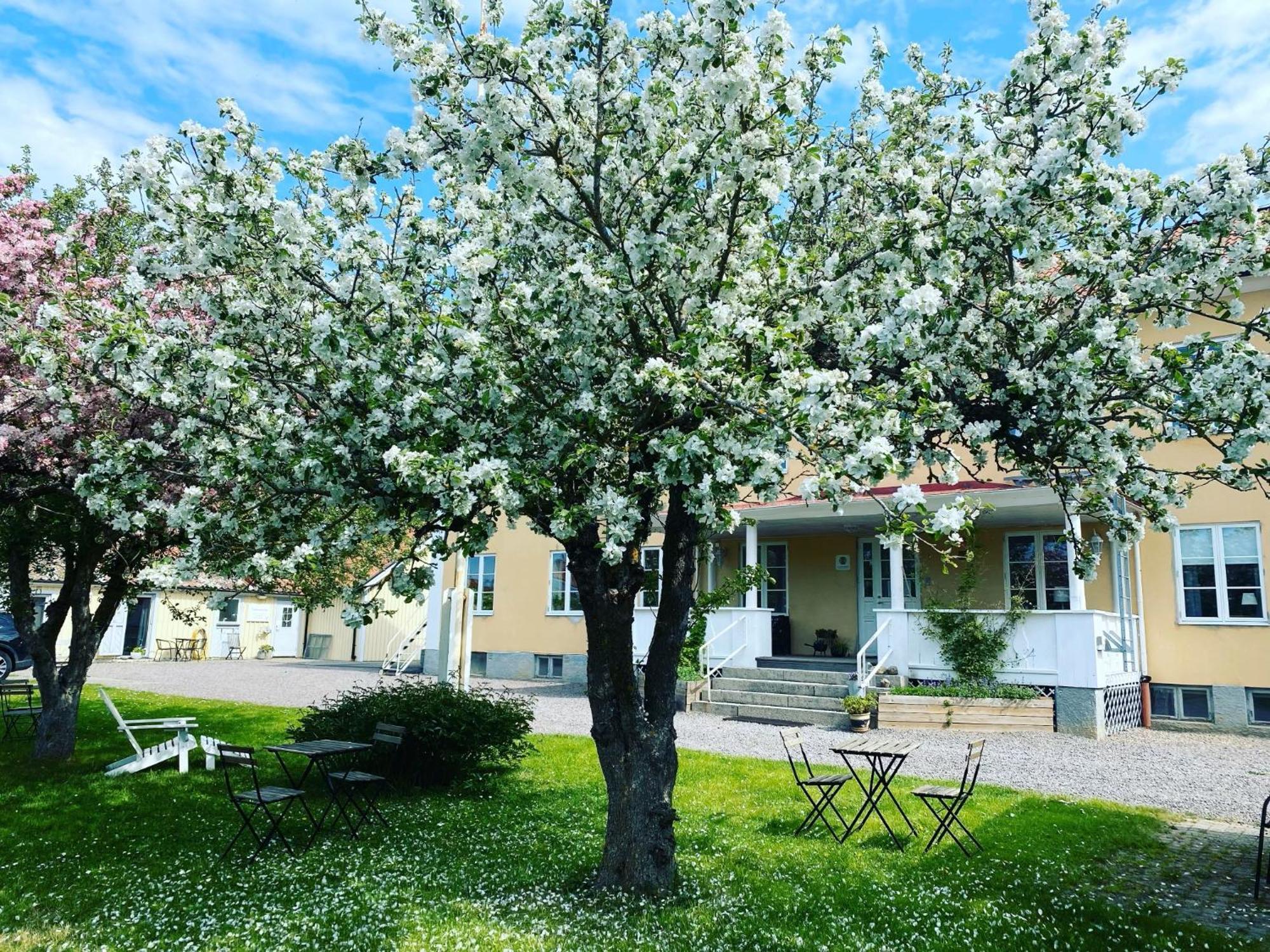 Vadstena Vandrarhem-Hostel Экстерьер фото